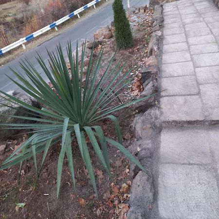 Green World Byurakan 外观 照片